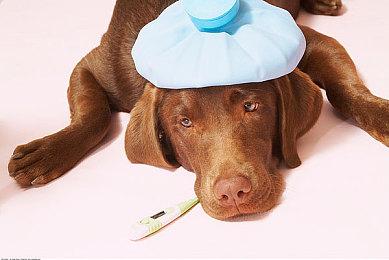 虚幻引擎5自制《反恐精英》DUST2地图视频展示